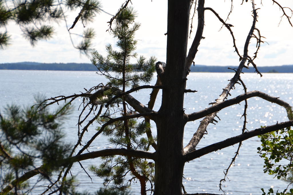 Holiday Home Tuomarniemi Kokonvaara Екстериор снимка