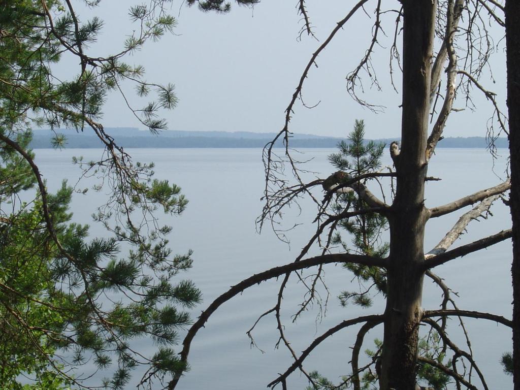 Holiday Home Tuomarniemi Kokonvaara Екстериор снимка